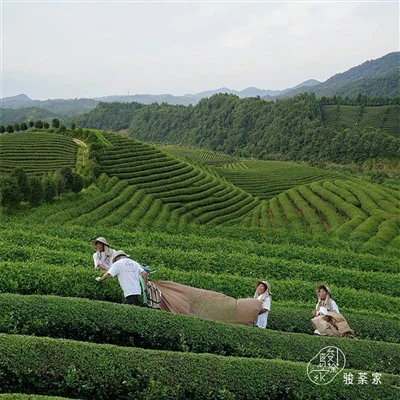 Чорний чай Soho Modern Style